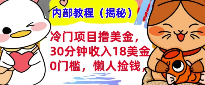冷门项目撸美刀，30分钟收入18美刀，0门槛，懒人捡钱，无脑操作-DE云网创