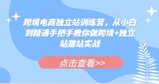 跨境电商独立站训练营，从小白到精通手把手教你做跨境+独立站建站实战-DE云网创