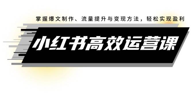 小红书高效运营课:掌握爆文制作、流量提升与变现方法,轻松实现盈利-DE云网创