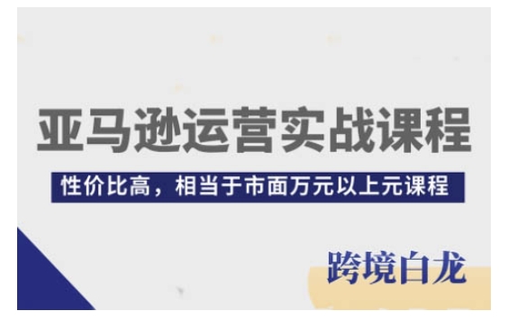 亚马逊运营实战课程,亚马逊从入门到精通,性价比高,相当于市面万元以上元课程-DE云网创
