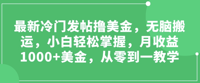 最新冷门发帖撸美金，无脑搬运，小白轻松掌握，月收益1000+美金，从零到一教学-DE云网创
