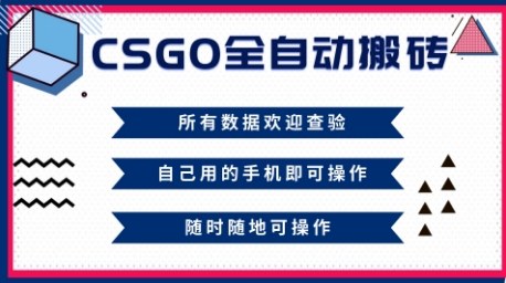 CSGO全自动搬砖,年底钱回家好项目,当天可拿到结果,新手小白轻松月入1W+【揭秘】-DE云网创