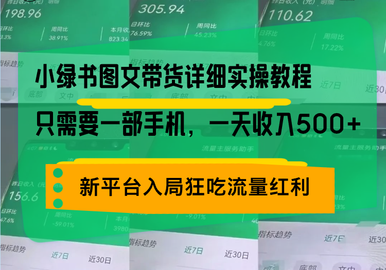 （13509期）小绿书图文带货详细实操教程，只需要一部手机，一天收入500+，轻松变现-DE云网创