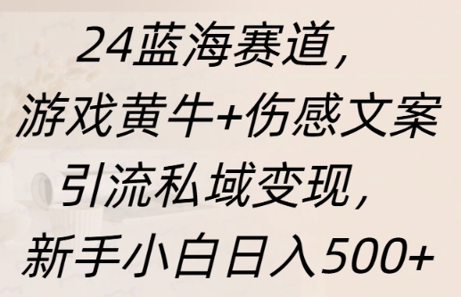 蓝海赛道，游戏黄牛+伤感文案引流私域变现，新手小白日入多张-DE云网创