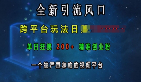 全新引流风口，跨平台玩法日入上k，单日狂揽200+精准创业粉，一个被严重忽略的视频平台-DE云网创