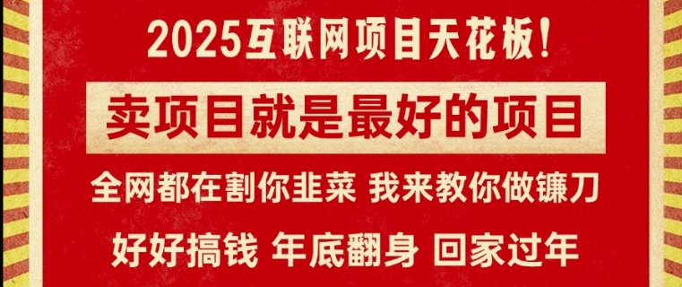 卖项目就是最好的项目，2025年互联网项目天花板-DE云网创
