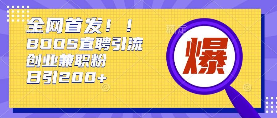 通过Boss直聘,每天轻松钓到200+多条创业大鱼的秘籍【揭秘】-DE云网创