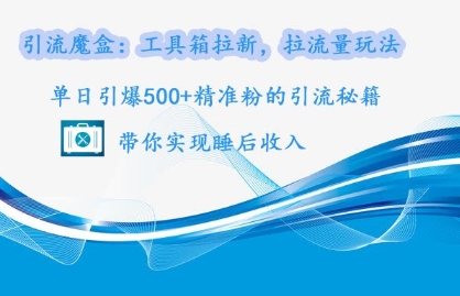 引流魔盒：工具箱拉新，拉流量玩法，单日引爆500+精准粉的引流秘籍-DE云网创