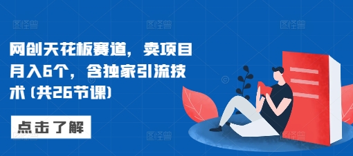 网创天花板赛道,卖项目月入6个,含独家引流技术(共26节课)-DE云网创