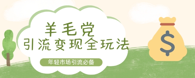 羊毛党引流变现全玩法,年轻市场引流必备-DE云网创