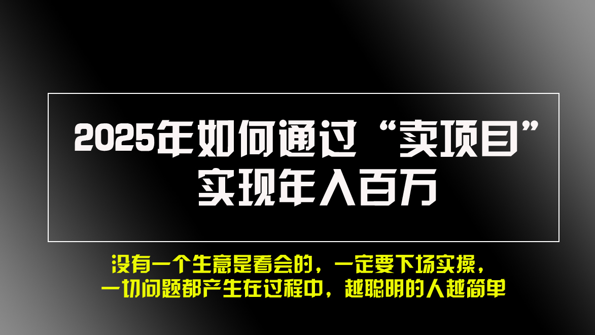 （13468期）2025年如何通过“卖项目”实现年入百万，做网赚必看！！-DE云网创