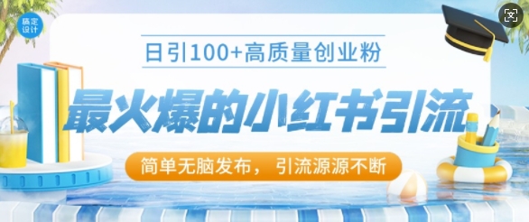 最火爆的小红书引流，日引100+高质量创业粉-DE云网创