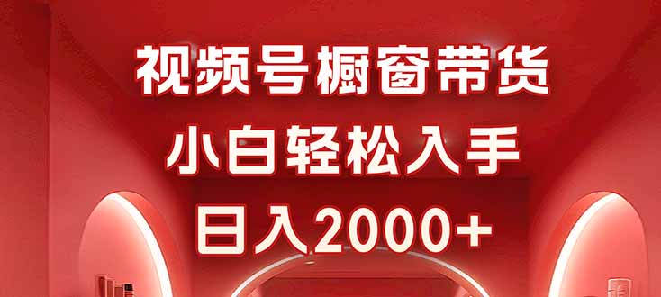 视频号橱窗带货，小白轻松入手，日入2000+-DE云网创