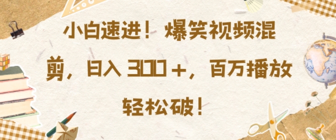 小白速进，爆笑视频混剪，日入3张，百万播放轻松破【揭秘】-DE云网创