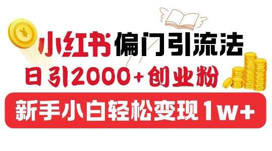 小红书偏门引流法，日引200+创业粉，新手小白轻松变现-DE云网创