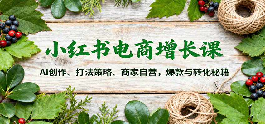 小红书电商增长课：AI创作、打法策略、商家自营，爆款与转化秘籍-DE云网创
