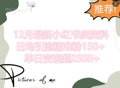 12月最新小红书日均引流精准粉100+,单日变现多张-DE云网创