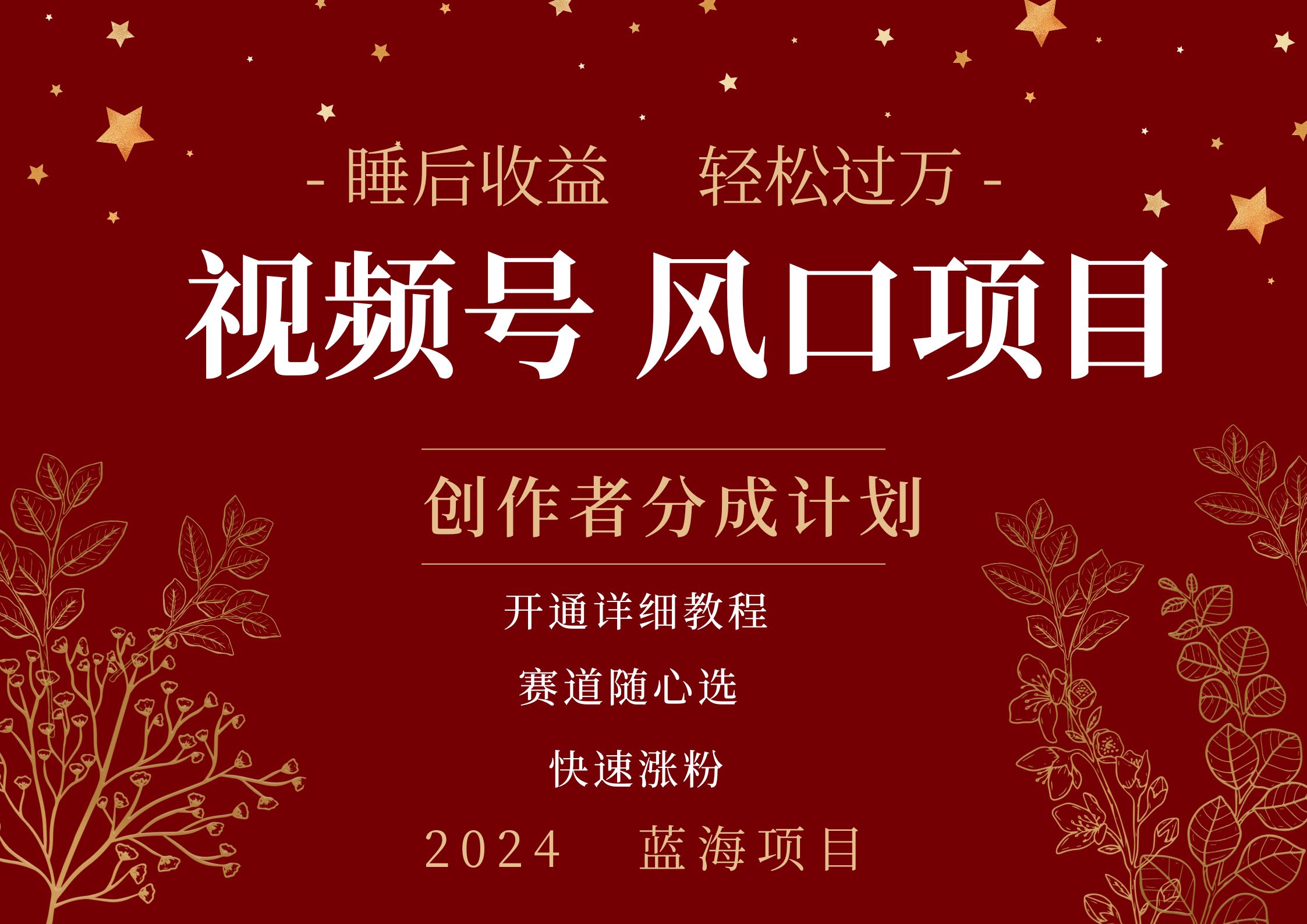 拥有睡眠收益的微信视频号大风口项目,轻松月入过万+,多赛道选择,可矩阵,玩法简单轻松上手-DE云网创