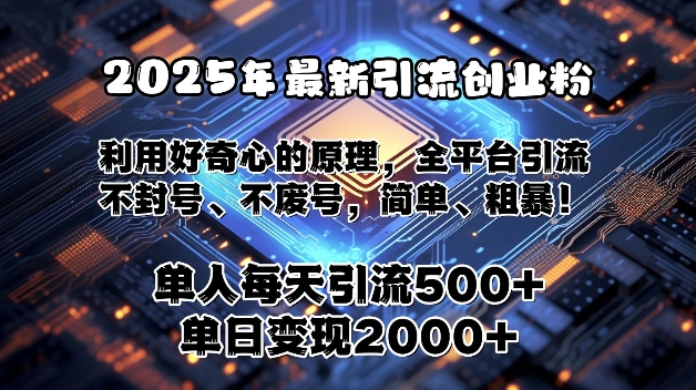 2025年最新引流创业粉，利用好奇心的原理，全平台引流，不封号、不废号，简单、粗暴-DE云网创