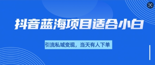 抖音蓝海小赛道私域变现项目,单价9.9单天变现100+,实操玩法分享给你-DE云网创
