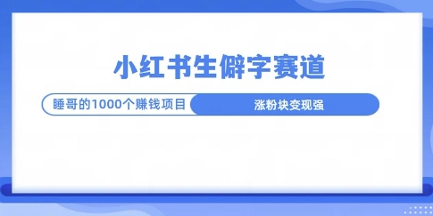小红书生僻字玩法，快速涨分变现详解-DE云网创