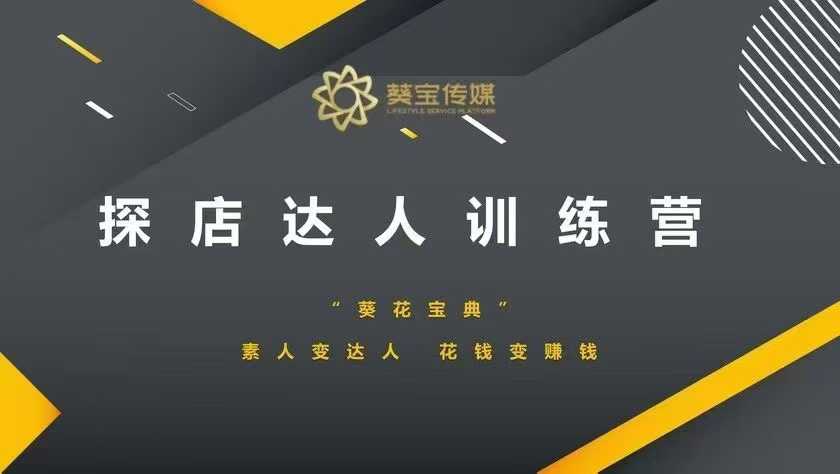探店达人训练营，素人变达人，花钱变赚钱-DE云网创