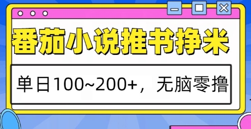 番茄小说推书挣米,单日100-200+,无脑零撸,实操流程-DE云网创
