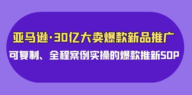 亚马逊30亿·大卖爆款新品推广,可复制、全程案例实操的爆款推新SOP-DE云网创