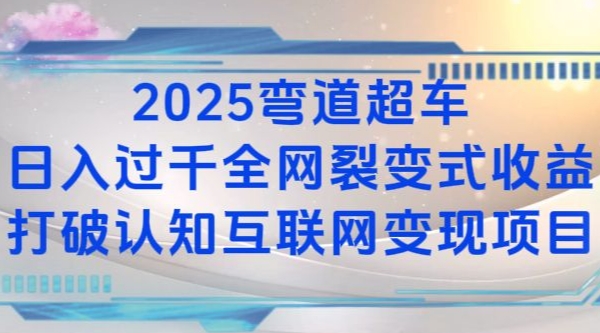 2025弯道超车日入过K全网裂变式收益打破认知互联网变现项目【揭秘】-DE云网创