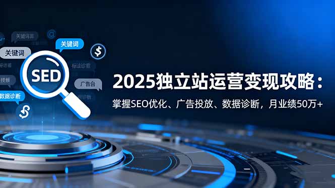 2025独立站运营变现攻略:掌握SEO优化、广告投放、数据诊断,月业绩50万+-DE云网创
