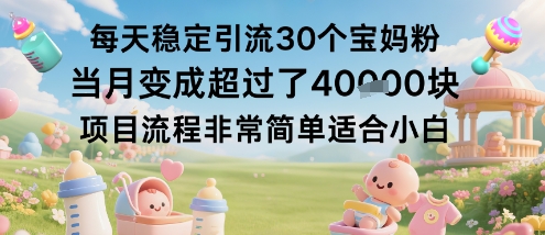 每天稳定引流30个宝妈粉当月变成超过了1W+项目流程非常简单适合小白-DE云网创