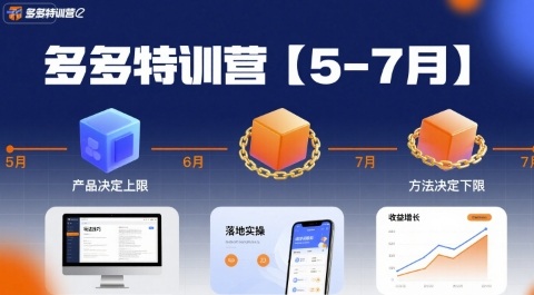 多多特训营，产品决定上限，方法决定下限，各种玩法技巧落地实操(更新)-DE云网创