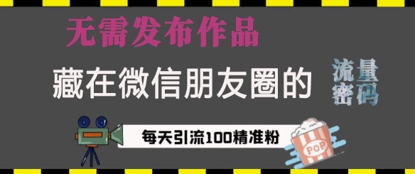 藏在微信朋友圈的流量密码,无需发布作品,单日引流100+精准创业粉【揭秘】-DE云网创