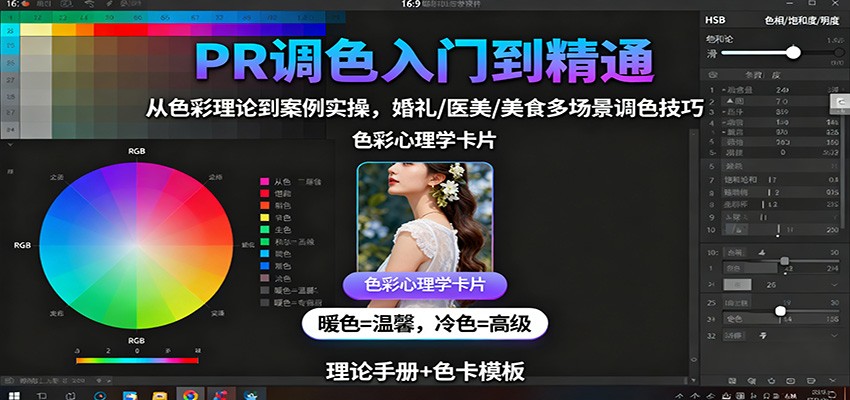PR调色入门到精通：从色彩理论到案例实操，婚礼/医美/美食多场景调色技巧-DE云网创