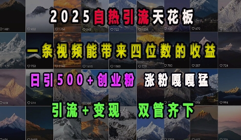 2025自热引流天花板，一条视频能带来四位数的收益，引流+变现双管齐下，日引500+创业粉，涨粉嘎嘎猛-DE云网创