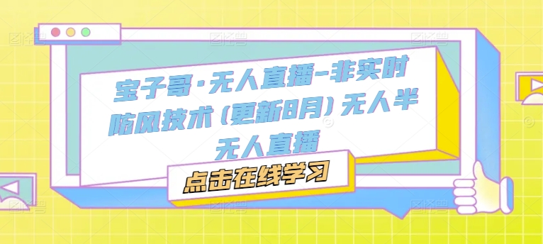 宝子哥·无人直播-非实时防风技术(更新11月)无人半无人直播-DE云网创