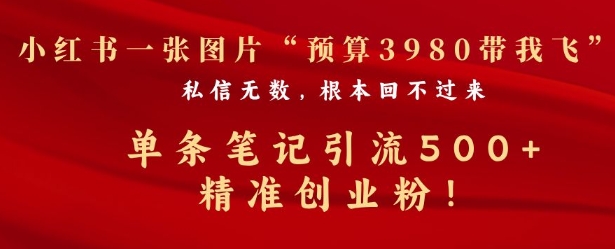 小红书一张图暴力引流500+精准创业粉-DE云网创