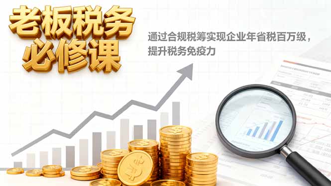 老板税务必修课,通过合规税筹实现企业年省税百万级,提升税务免疫力-DE云网创