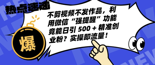不剪视频不发作品,视频号私信日引 500 + 精准创业粉?实操即流量!-DE云网创