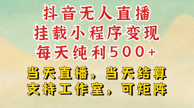 抖音无人直播挂载小程序变现每天纯利500+当天直播,当天结算支持工作室,可矩阵【揭秘】-DE云网创