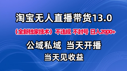 淘宝无人直播13.0，公域私域技术，不封号，不违规布局下半年旺季赛道，日入1K+(独家技术)【揭秘】-DE云网创