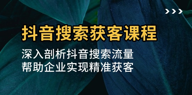 （13465期）抖音搜索获客课程：深入剖析抖音搜索流量，帮助企业实现精准获客-DE云网创