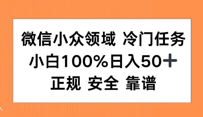 微信小众领域冷门特定任务，小白100%日入50+，正规安全靠谱-DE云网创