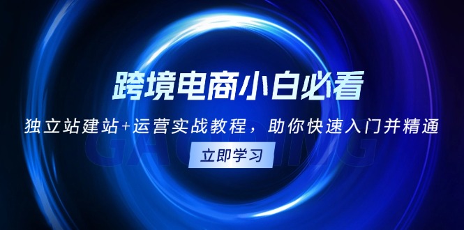 （13503期）跨境电商小白必看！独立站建站+运营实战教程，助你快速入门并精通-DE云网创