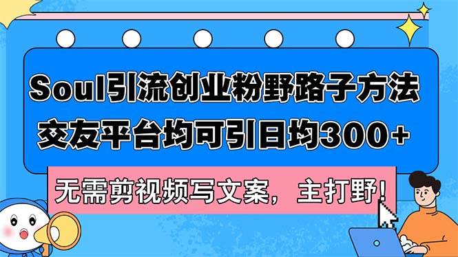 Soul引流创业粉野路子方法，交友平台均可引日均300+，无需剪视频写文案…-DE云网创