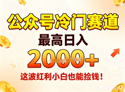 公众号冷门赛道,最高日入1k+,这波红利小白也能捡钱!-DE云网创