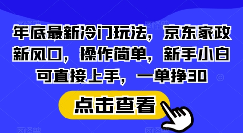 年底最新冷门玩法,京东家政新风口,操作简单,新手小白可直接上手,一单挣30【揭秘】-DE云网创