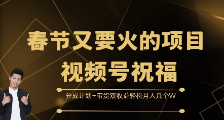 春节又要火的项目视频号祝福,分成计划+带货双收益,轻松月入几个W【揭秘】-DE云网创
