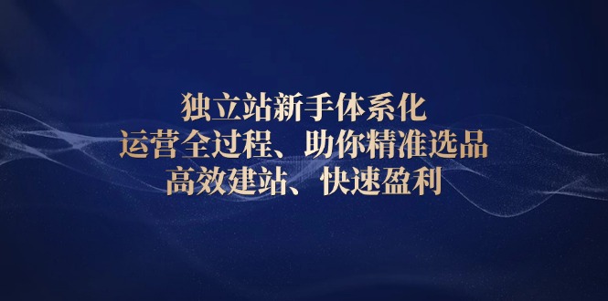 （13914期）独立站新手体系化 运营全过程，助你精准选品、高效建站、快速盈利-DE云网创