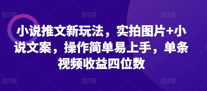 小说推文新玩法，实拍图片+小说文案，操作简单易上手，单条视频收益四位数-DE云网创